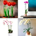 thumbnail image 4 of CNKOO Single Stem Plant Support Metal Stakes Plant Flower Support Ring Garden, 4 of 8