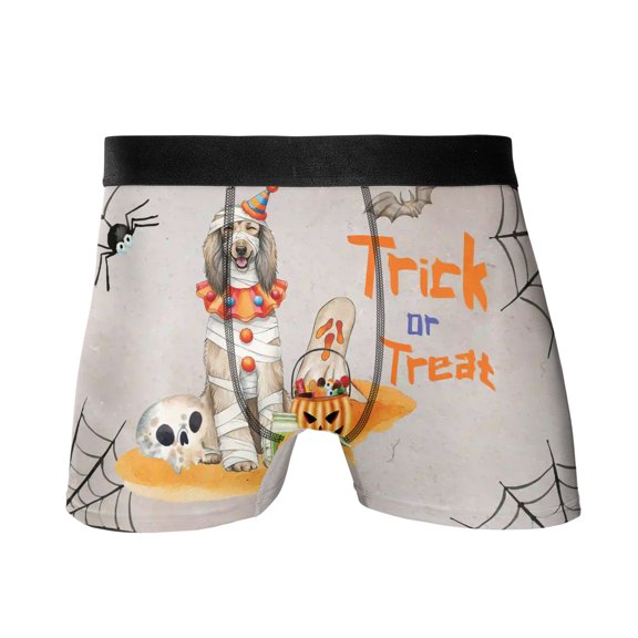 Trick or Treat Afghan Hound Funny Mummy Cosplay Pumpkin Candy Basket All Over Print Boxer Briefs Underwear for Men Dad Dog Lover - 12016