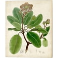 thumbnail image 4 of Metaverse Vision Studio 'Verdant Foliage B' Canvas Art (Set of 4), 4 of 5