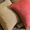 Spice, variant on 18-inch Double-corded Solid Microsuede Square Throw Pillows with Inserts (Set of 2) - Java