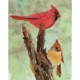thumbnail image 2 of Stellar Design Studio 20x24 Black Ornate Wood Framed with Double Matting Museum Art Print Titled - Cardinal 1, 2 of 4