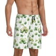 thumbnail image 3 of Rocae St Patrick's Day3 for Men's Soft Sleep Pajama Shorts, Waistband and Pockets, 3 of 9