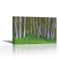 thumbnail image 1 of Alder Forest II - Contemporary Fine Art Giclee on Canvas Gallery Wrap - wall d?cor - Art painting - 27 x 18 Inch - Ready to Hang, 1 of 2