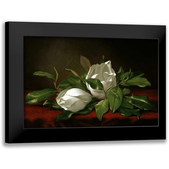 Heade, Martin Johnson 14x11 Black Modern Framed Museum Art Print Titled - Magnolia