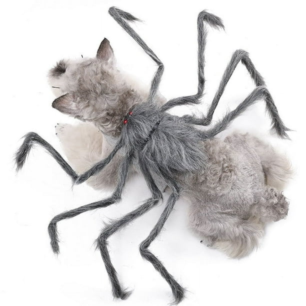 Xihbxyly Disfraz de Araña para Mascota, Aspecto Único de Araña para Halloween, Divertido E Interactivo, Ideal para Celebraciones En Casa, Material Cómodo, Tamaño Pequeño.