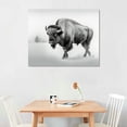 thumbnail image 2 of Nawypu Country Farmhouse Canvas Print Painting Animal Wall Art 'Black and White Bull Bison Gallery Wrapped Canvas Rustic Home Décor 45x30 in Gray, Black by, 2 of 4