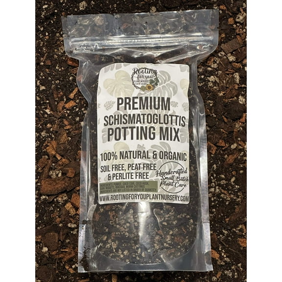Schismatoglottis Premium Potting Mix