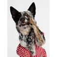thumbnail image 6 of Kacey Lee Cinched Gingham Bodice Pet Dress for Cats and Dogs, Red, Extra Small, 6 of 7