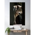 thumbnail image 2 of Wolf In Forest Poster Wall Art, Modern Wall Decor, 16x24 UNFRAMED, 2 of 3