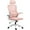 Autre, variante sur Vinsetto Chaise de Bureau en Maille avec Appui-Tête Réglable, Support Lombaire, Rose