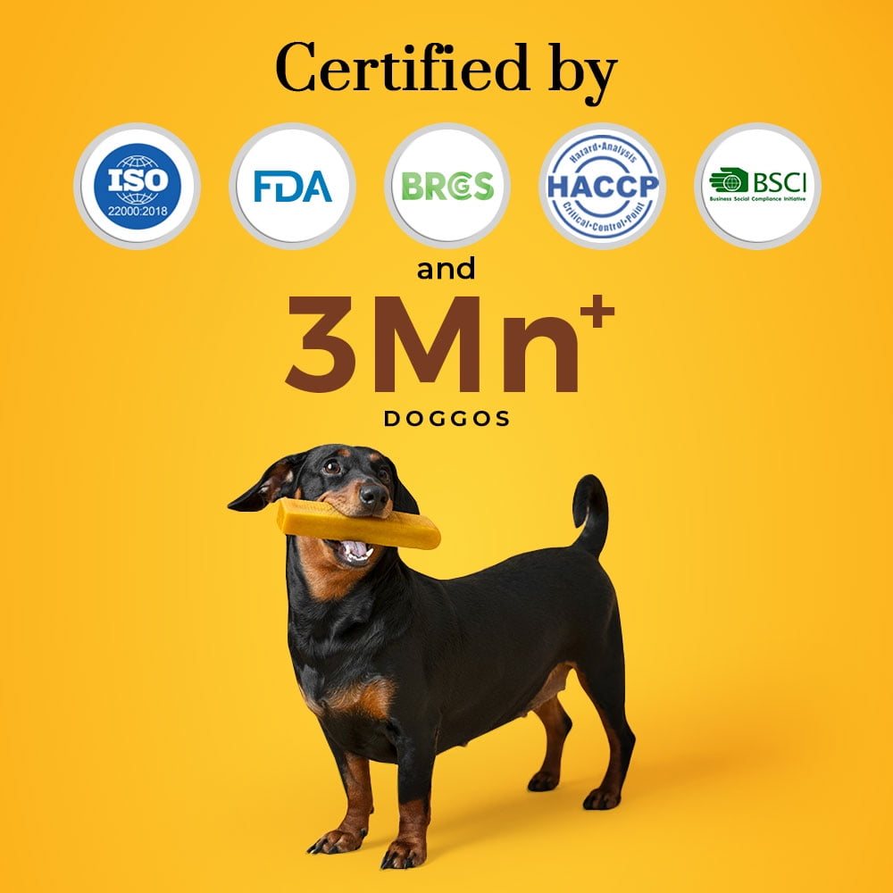 Dogsee Chew Himalayan Yak Chews Turmeric Long Lasting Dental Dog Treats Small 1 lb (13 Bars)