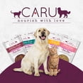 thumbnail image 5 of Caru Soft 'n Tasty Wild Boar Recipe Baked Bites Dog Treats, 3.75 Oz., 5 of 6