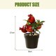 thumbnail image 2 of Mini bonsái de frutas, plantas artificiales creativas, decoración del hogar, simulación de plantas verdes, 2 of 5