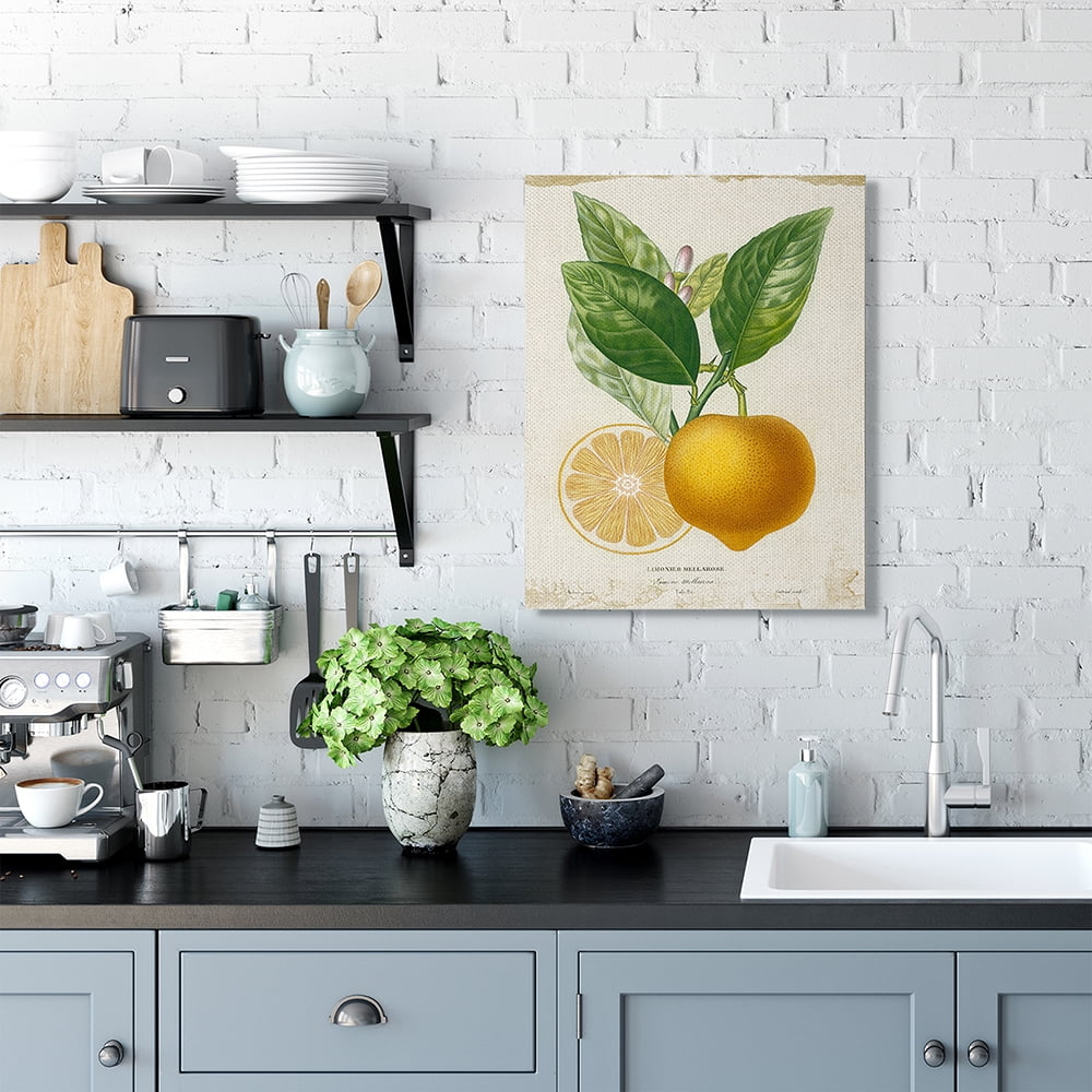 Stupell Industries Vibrant French Lemon Illustration Green Vine Canvas Wall Art by Studio W