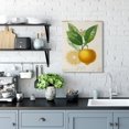 thumbnail image 2 of Stupell Industries Vibrant French Lemon Illustration Green Vine Canvas Wall Art by Studio W, 2 of 6