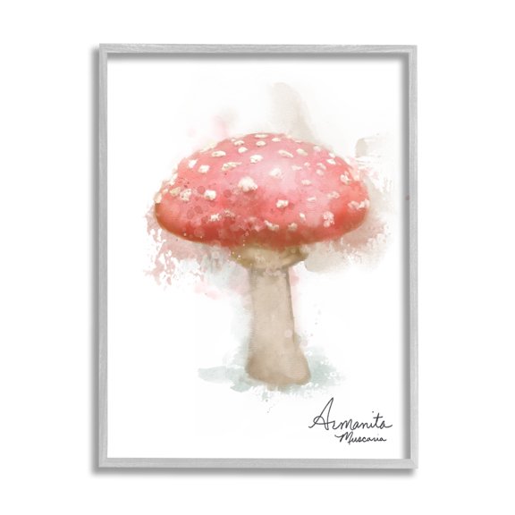 Stupell Industries Abstract Amanita Mushroom Botanical & Floral Painting Gray Framed Art Print Wall Art, 16 x 20