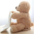 thumbnail image 2 of L'Ours en Peluche Peek-a-boo, 2 of 3