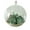 TYPE5, variant on Efavormart 4pcs Glass Terrarium Clear Glass Globe Hanging Succulent Glass Planter