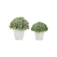 thumbnail image 1 of Raz Imports Homestead 6.25-inch Potted Boxwood, Set of 2, 1 of 3