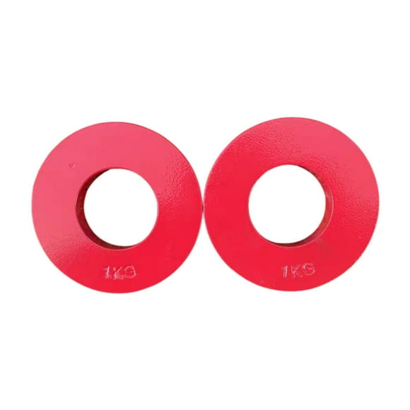 Lipstore 2 Pcs Plaques Micro de Gym Plaque de Changement de Poids Additionnelle pour Débutants en Microchargement 1kg