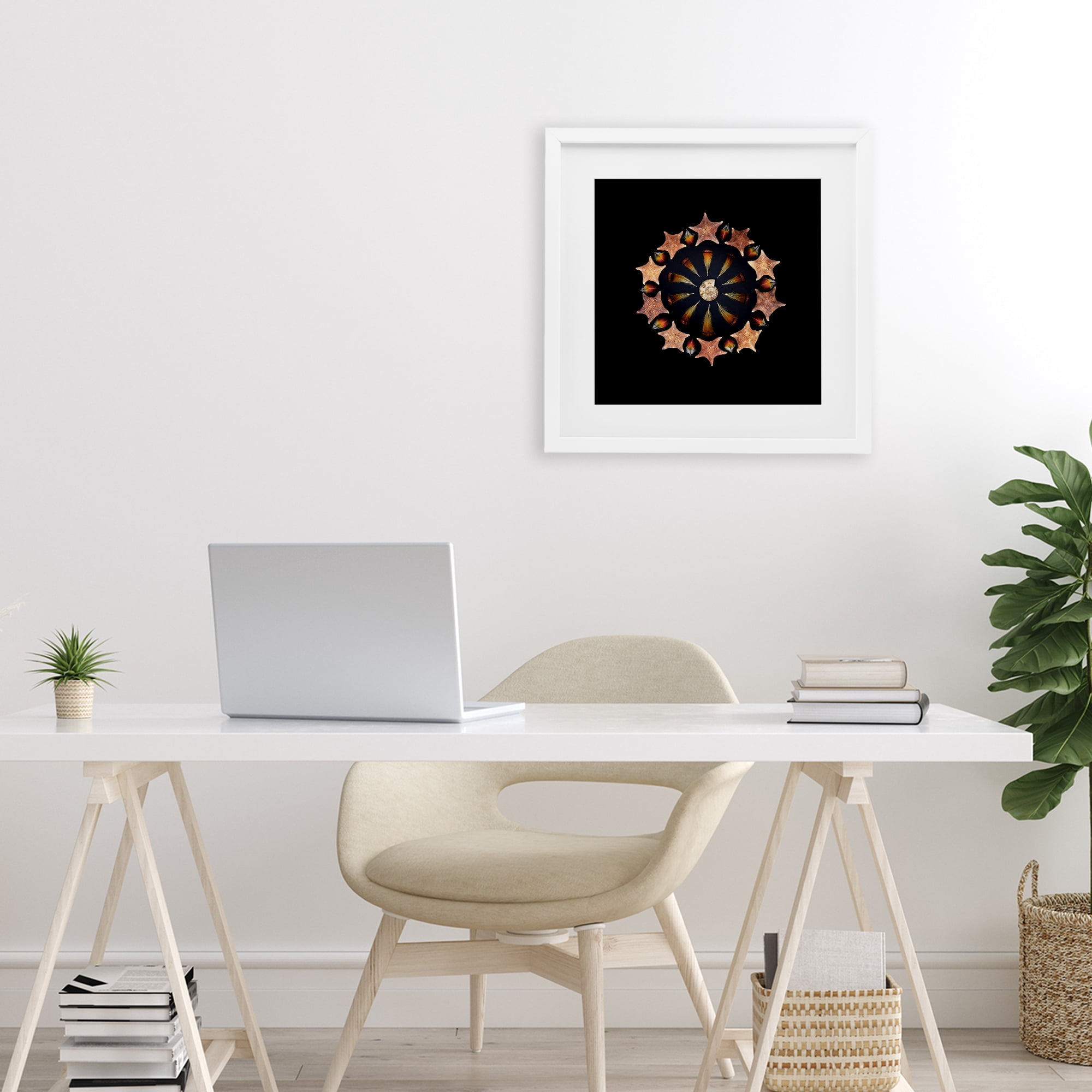 Stupell Industries Nautical Nature Arrangement White Framed Print Under Glass, design by Beth Adoette