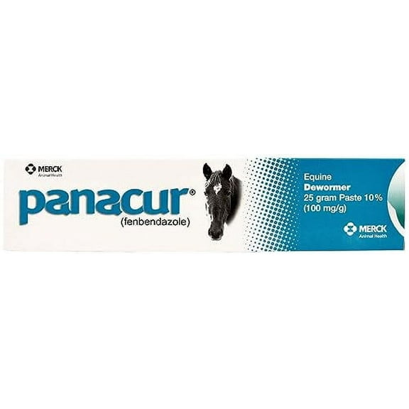 (3 Pack) PANACUR Dewormer Horse Paste 10%, 100mg Each