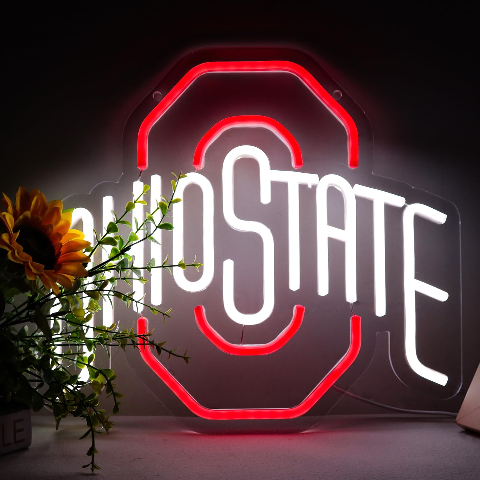 Red White Letter Neon Sign LED Wall Decor USB Powered Light with Switch for Bedroom Dorm Bar Decoration