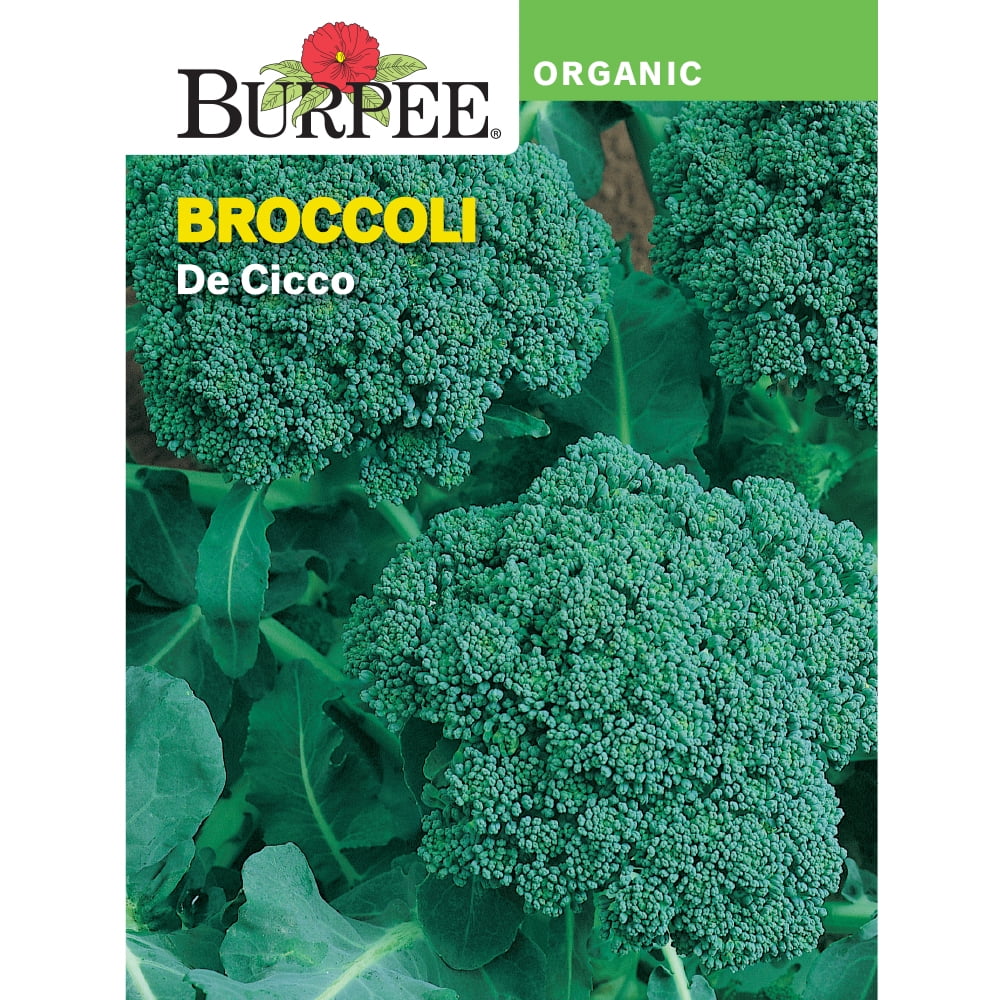 Burpee Organic De Cicco Broccoli Vegetable Seed, 1pack