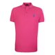 thumbnail image 2 of Playera Polo Club Of Berkshire. Varios Colores Y Tallas, 2 of 3