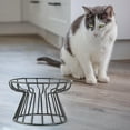 thumbnail image 4 of Ywbawe Elevated Cat Bowl Stand with Metal Base for Dry Wet Food Single Tray Holder, 4 of 5