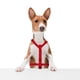 thumbnail image 2 of Arnés Para Perro Importadora La Merced Estampado Huellitas Rojo Talla Chica Ergonómico Altamente Resistente, 2 of 4