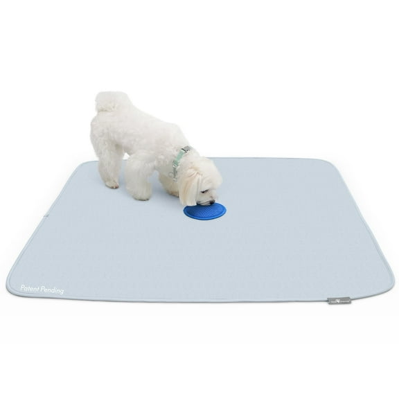 2ct 36x36 inch Paw Inspired Speed Spot "Go Here" Potty Training Puppy Pads with Pop Up Urine Attractant Target | Washable, Reusable Dog Pee Pads with Pheromone Scent Patch for Housebreaking