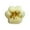 A, variant on Osmanthus Series Squishy Fidget Toys for Adults TPR Soft Mud Texture Slow Rebound Tactile Gadget Cat Paw Daifuku Cream Strip Desktop Sensory Accessory 1 Pack