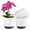 White, variant on QCQHDU 5.5 Inch Orchid Pots with Holes, 2 Pack Self Watering Orchid pot Match Plastic Decorative Orchid Planter,Double Layer Plastic Orchid Pot Promoting Air Circulation and Drainage