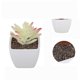 thumbnail image 2 of Pot Carr Sincero Plastique Pour Plantes Succulentes Ensemble De 6 Pices, 2 of 5
