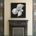 thumbnail image 2 of Floral 26 Calla Lily By Michael Faragher Canvas Art Print 30" x 30", 2 of 4