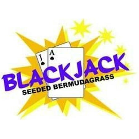 Blackjack Bermuda Grass Seed - 1 Lb. (Best Grass Seed For Central California)