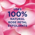 thumbnail image 2 of Exfoliante facial St. Ives, suave y suavizante, agua de rosas y aloe, 180 ml, 2 of 6