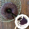 thumbnail image 3 of Nordic Ware Bavaria Bundt Pan, 10-cup, graphite, 3 of 6