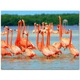thumbnail image 1 of Bird Picture Ceramic Tile Mural Kitchen Backsplash Bathroom Shower 404175-M43, 1 of 5