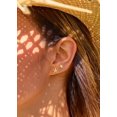 thumbnail image 3 of Stud Earrings for Women: Danty Tiny Starfish Turtle Shell Seahorse Octopus Nautilus Stud Ear Stack Earrings Set 14k Gold/White Gold Plated, 3 of 10