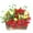 Red, variant on ToysYGift Dollhouse Plant Miniature Bonsai Plant Dollhouse Mini Green Plant Flower Potted Model Tiny Fake Greenery Ornament Simulation Potted Plants for Doll House Furniture Home Decoration