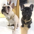 thumbnail image 5 of Gold Chain Dog Collar - Metal Cuban Link Dog Necklace with Leather Belt, Lightweight Protect Puppy's Neck, Cute Fashion Dog Jewelry Accessories 14.5 inches, 5 of 6