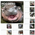 thumbnail image 7 of CCOCC 2025 Pygmy Hippo Hangable Monthly Wall Calendar for Animal Lover, 7 of 7