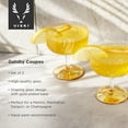 thumbnail image 3 of Viski Gatsby Coupe Glasses for Martini, Champagne, Home Gifts, 9oz Set of 2, 3 of 7