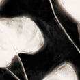 thumbnail image 2 of PI Studio 20x20 White Modern Wood Framed Museum Art Print Titled - White Tropical I, 2 of 4