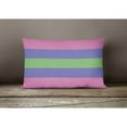 thumbnail image 4 of Carolines Treasures CK8007PW1216 Trigender Pride Canvas Fabric Decorative Pillow 12H x16W multicolor, 4 of 4