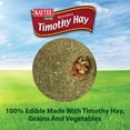 thumbnail image 4 of Kaytee Forti-Diet Timothy Hay Roll 'N' Toss Small Animal Chew Treat & Toy, 4 of 9