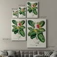 thumbnail image 4 of Imperial Tropical Botanical I Premium Gallery Wrapped Canvas - Ready to Hang, 4 of 9