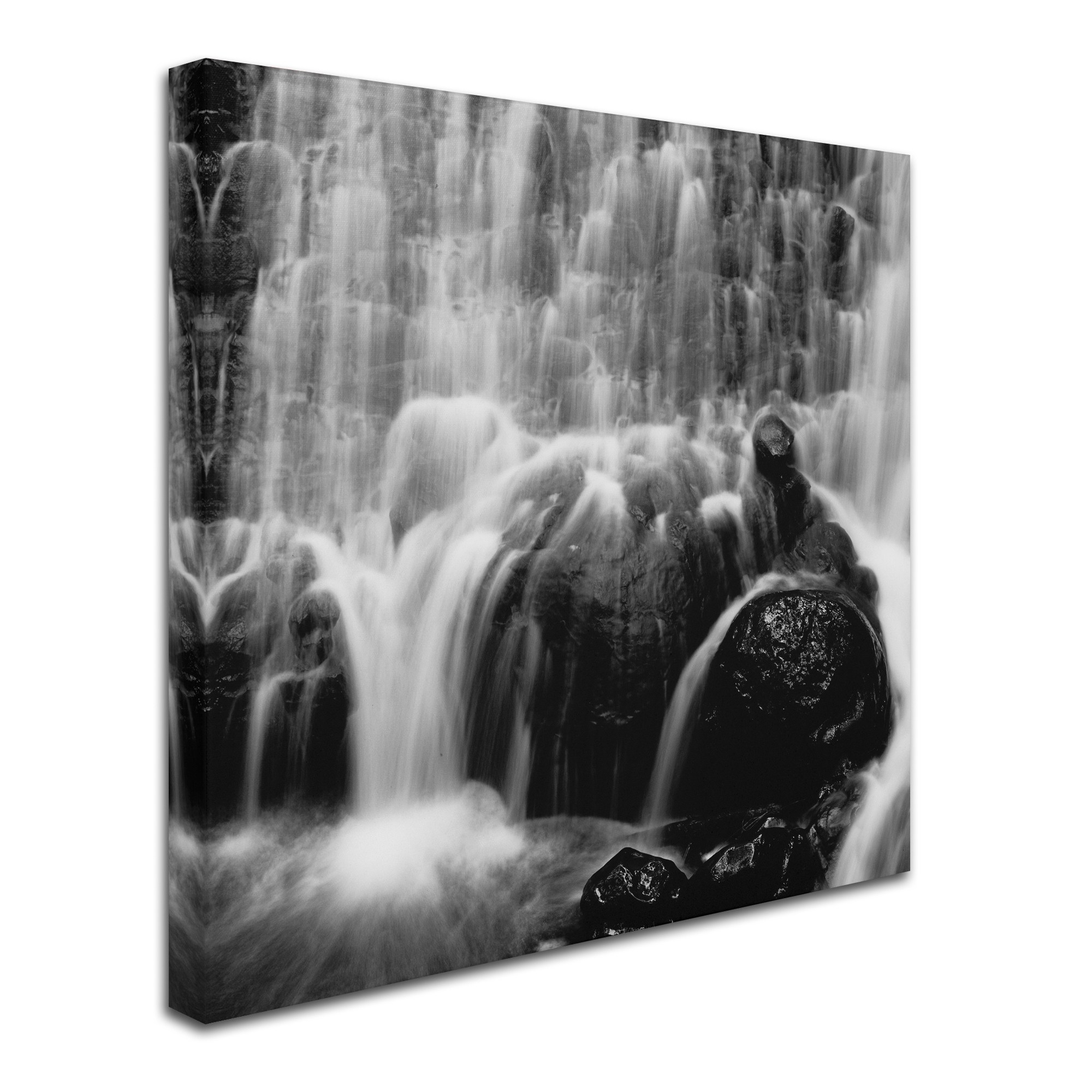 Moises Levy 'Velo de Novia' Canvas Art